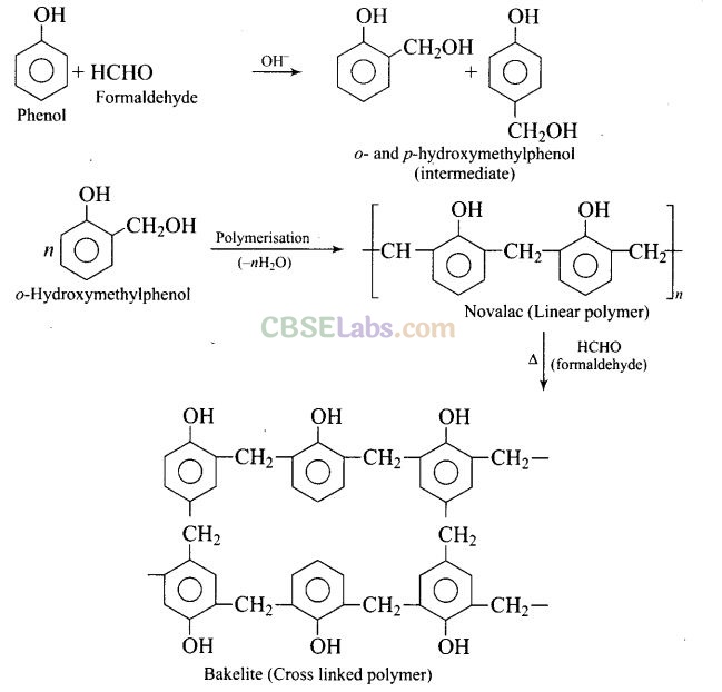 NCERT Exemplar Class 12 Chemistry Chapter 15 Polymers-31