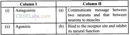 NCERT Exemplar Class 12 Chemistry Chapter 16 Chemistry in Everyday Life-14