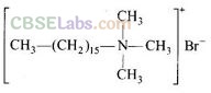 NCERT Exemplar Class 12 Chemistry Chapter 16 Chemistry in Everyday Life-20