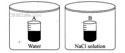 NCERT Exemplar Class 12 Chemistry Chapter 2 Solution-2