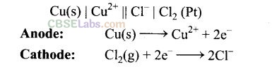 NCERT Exemplar Class 12 Chemistry Chapter 3 Electrochemistry-42
