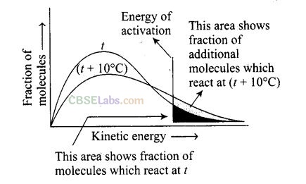 NCERT Exemplar Class 12 Chemistry Chapter 4 Chemical Kinetics-24