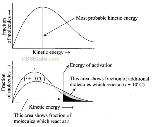 NCERT Exemplar Class 12 Chemistry Chapter 4 Chemical Kinetics-44