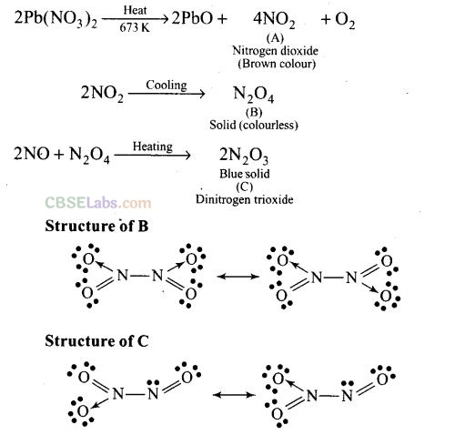 NCERT Exemplar Class 12 Chemistry Chapter 7 The p-Block Elements-34