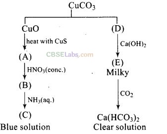 NCERT Exemplar Class 12 Chemistry Chapter 8 The d- and f-Block Elements-32