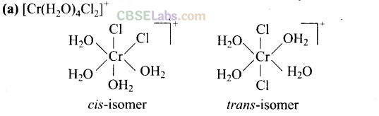 NCERT Exemplar Class 12 Chemistry Chapter 9 Coordination Compounds-6