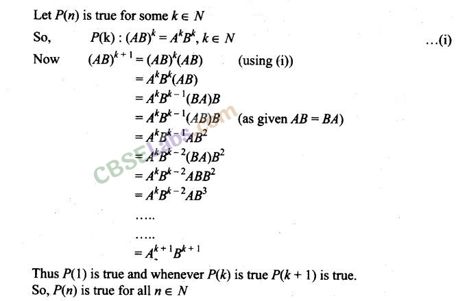 NCERT Exemplar Class 12 Maths Chapter 3 Matrices-33