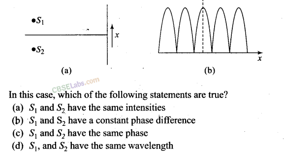 NCERT Exemplar Class 12 Physics Chapter 10 Wave Optics-10