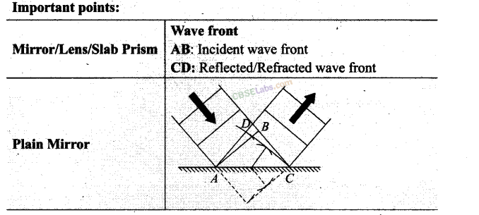 NCERT Exemplar Class 12 Physics Chapter 10 Wave Optics-16