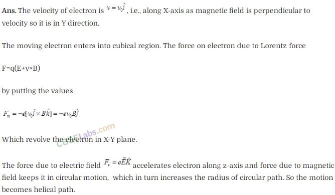 NCERT Exemplar Class 12 Physics Chapter 4 Moving Charges and Magnetism-9