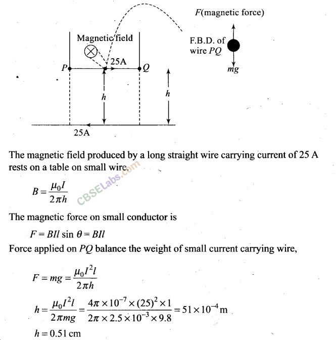 NCERT Exemplar Class 12 Physics Chapter 4 Moving Charges and Magnetism-13