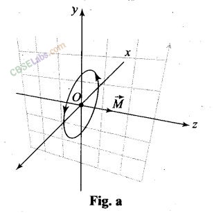 NCERT Exemplar Moving Charges And Magnetism Class 12