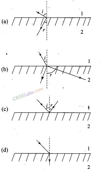 NCERT Exemplar Class 12 Physics Chapter 9 Ray Optics and Optical Instruments-10
