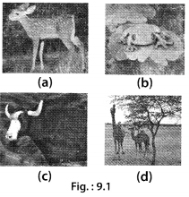 NCERT-Exemplar-Class-6-Science-Chapter-9-The-Living-Organisms-and-Their-Surroundings-1