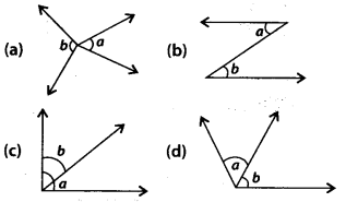 NCERT Exemplar Class 7 Maths Chapter 5 Lines and Angles 18