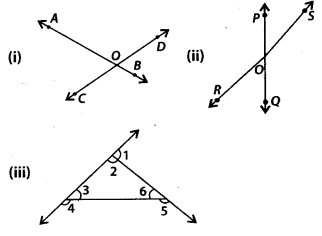 NCERT Exemplar Class 7 Maths Chapter 5 Lines and Angles 31