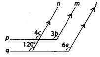 NCERT Exemplar Class 7 Maths Chapter 5 Lines and Angles 67