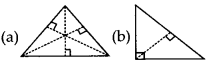 NCERT Exemplar Class 7 Maths Chapter 6 Triangles 25