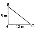 NCERT Exemplar Class 7 Maths Chapter 6 Triangles 7