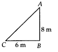 NCERT Exemplar Class 7 Maths Chapter 6 Triangles 76