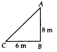 NCERT Exemplar Class 7 Maths Chapter 6 Triangles 96