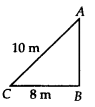 NCERT Exemplar Class 7 Maths Chapter 6 Triangles 97