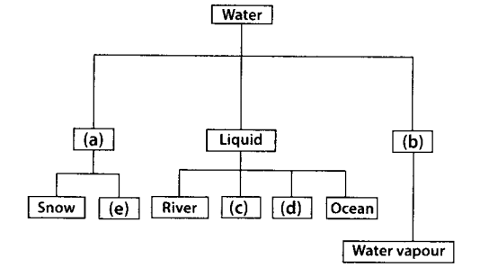 NCERT-Exemplar-Class-7-Science-Chapter-16-Water-A-Precious-Resource-q23
