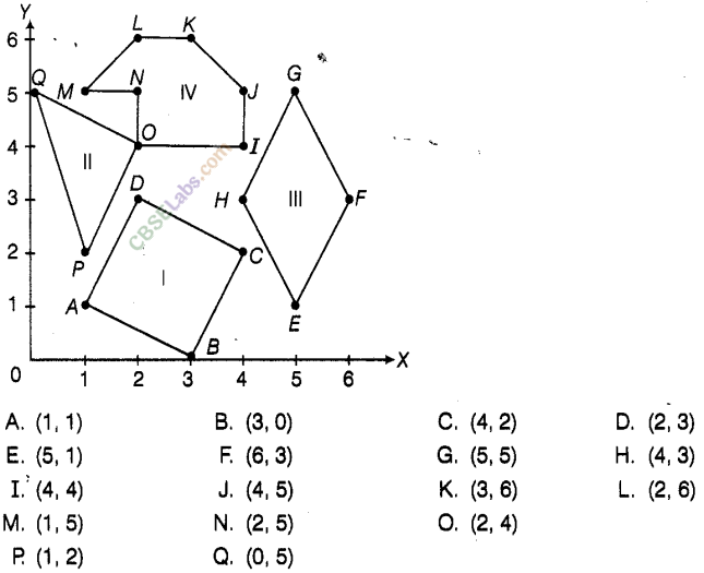 NCERT Exemplar Class 8 Maths Chapter 12 Introduction to Graphs 31