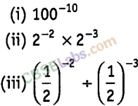 NCERT Exemplar Class 8 Maths Chapter 8 Exponents and Powers Img 124