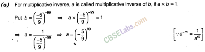 NCERT Exemplar Class 8 Maths Chapter 8 Exponents and Powers Img 8