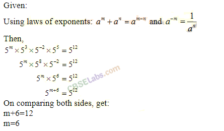 NCERT Exemplar Class 8 Maths Chapter 8 Exponents and Powers Img 174