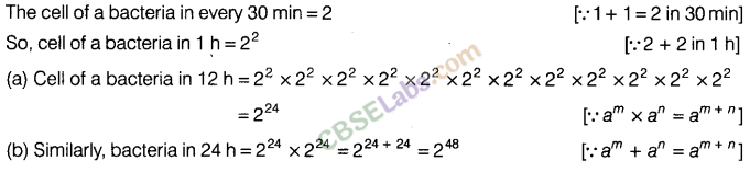 NCERT Exemplar Class 8 Maths Chapter 8 Exponents and Powers Img 175