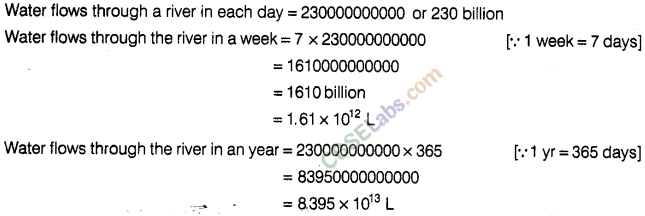 NCERT Exemplar Class 8 Maths Chapter 8 Exponents and Powers Img 192