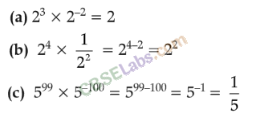 NCERT Exemplar Class 8 Maths Chapter 8 Exponents and Powers Img 220