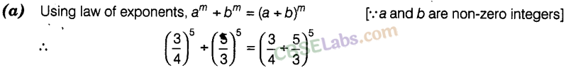 NCERT Exemplar Class 8 Maths Chapter 8 Exponents and Powers Img 34