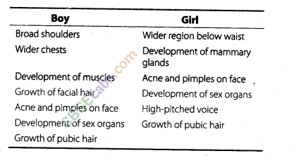 NCERT Exemplar Class 8 Science Chapter 10 Reaching the Age of Adolescence 5