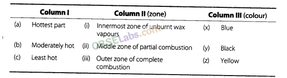 NCERT Exemplar Class 8 Science Chapter 6 Combustion and Flame 3