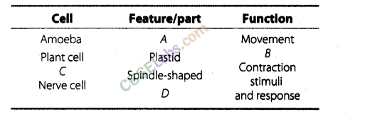 NCERT Exemplar Class 8 Science Chapter 8 Cell Structure and Functions 1