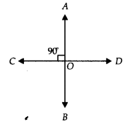 NCERT Exemplar Class 9 Maths Chapter 6 Lines And Angles 12