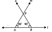 NCERT Exemplar Class 9 Maths Chapter 6 Lines And Angles 36