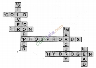 NCERT Exemplar Class 9 Science Chapter 3 Atoms and Molecules Img 42