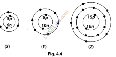 NCERT Exemplar Class 9 Science Chapter 4 Structure of the Atoms Img 5