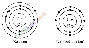 NCERT Exemplar Class 9 Science Chapter 4 Structure of the Atoms Img 8
