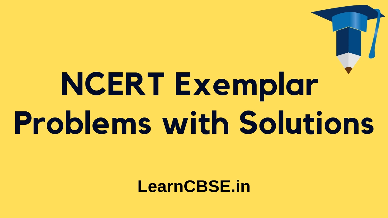 NCERT Exemplar Solutions for Class 6, 7, 8, 9, 10, 11, and 12