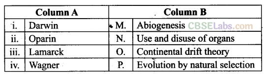 NCERT Exemplar Class 12 Biology Chapter 7 Evolution-2