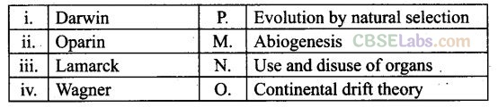 NCERT Exemplar Class 12 Biology Chapter 7 Evolution-3