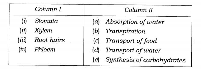 NCERT-Solutions-Class-7-Science-Chapter-11-Transportation-in-Animals-and-Plants-Q1
