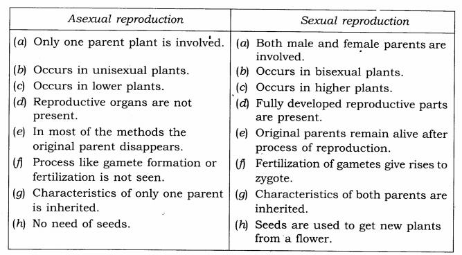 NCERT-Solutions-Class-7-Science-Chapter-12-Reproduction-in-Plants-Q4