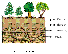 NCERT-Solutions-Class-7-Science-Chapter-9-Soil-Q7
