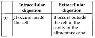 NCERT Solutions For Class 11 Biology Animal Kingdom Q4